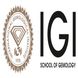 International Gemological Institute